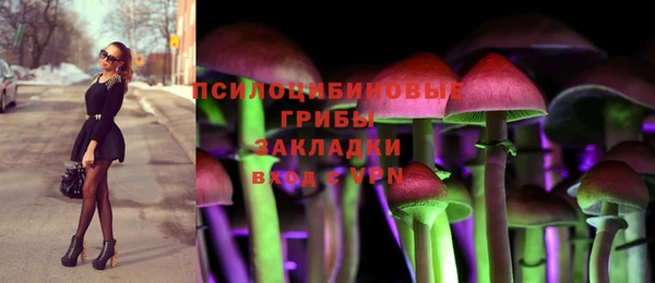 прущие грибы Алексеевка