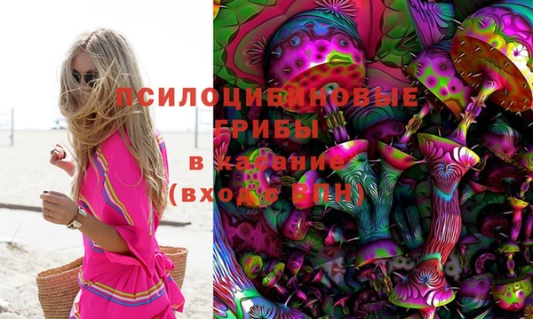 прущие грибы Алексеевка