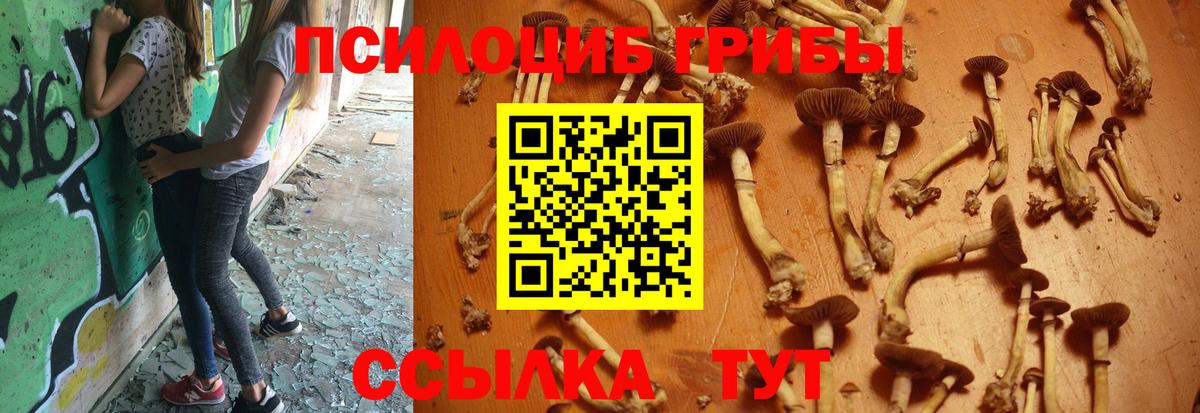 Галлюциногенные грибы мухоморы Санкт-Петербург