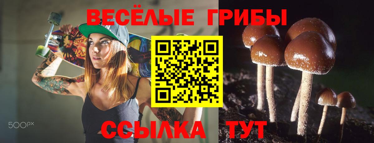 Санкт-Петербург  Псилоцибиновые грибы прущие грибы  Вход с VPN 
