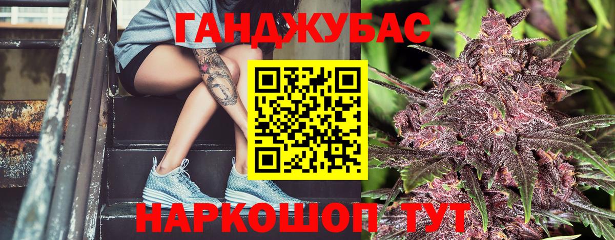 Каннабис планчик Санкт-Петербург